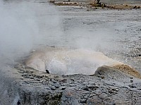 Yellowstone Norris Geyser Veteran Geyser (5).JPG